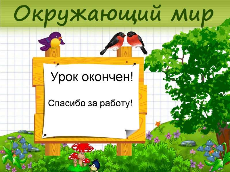 Урок окончен! Спасибо за работу!